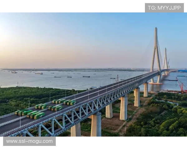 常泰长江大桥正式通车 成为全球最大跨度斜拉桥标志性工程 常泰长江大桥正式通车 成为全球最大跨度斜拉桥标志性工程
