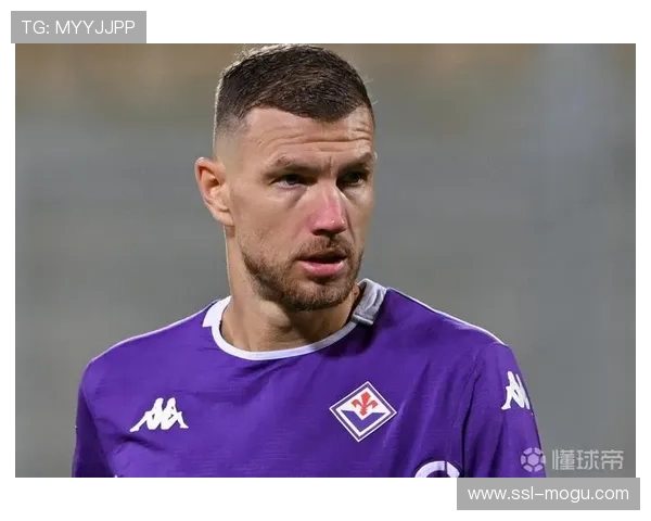 沙尔克04向哲科提供高额合同,巴黎FC加入争夺 沙尔克04向哲科提供高额合同,巴黎FC加入争夺